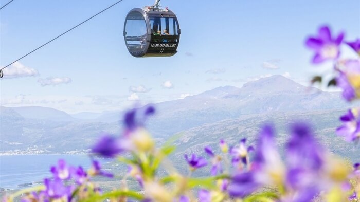 Narvikfjellet Cable Car and Mountain